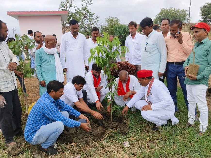 *सपा के राष्ट्रीय व प्रांतीय अध्यक्ष के आवाहन पर सांसद व जिलाध्यक्ष सहित पार्टी कार्यकर्ताओं द्वारा  नरछा गांव में  किया गया दर्जनों पीडीए पेड़ों का वृक्षारोपण*