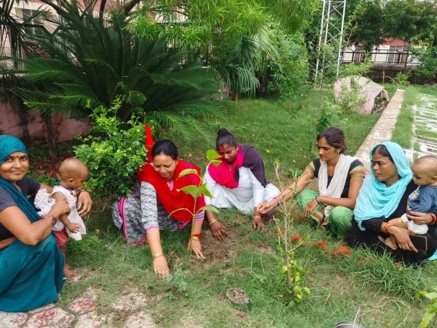 महिला जिलाध्यक्ष के नेतृत्व में विधानसभा बार पीडीए पेड़ पौधारोपण कार्यक्रम आयोजित हुआ