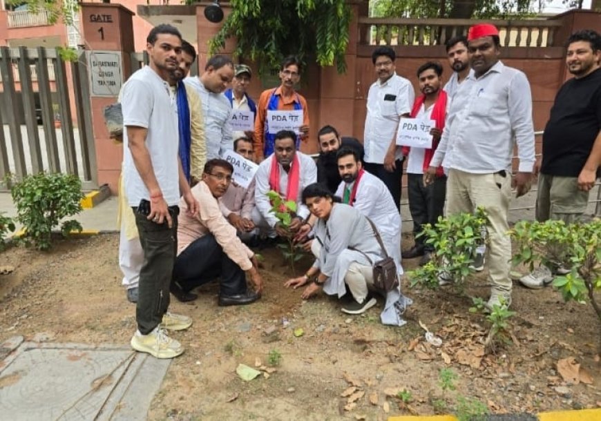 *सपा अनुसूचित जाति प्रकोष्ठ अनुराधा कठेरिया ने स्थापना दिवस पर किया गया वृक्षारोपण*