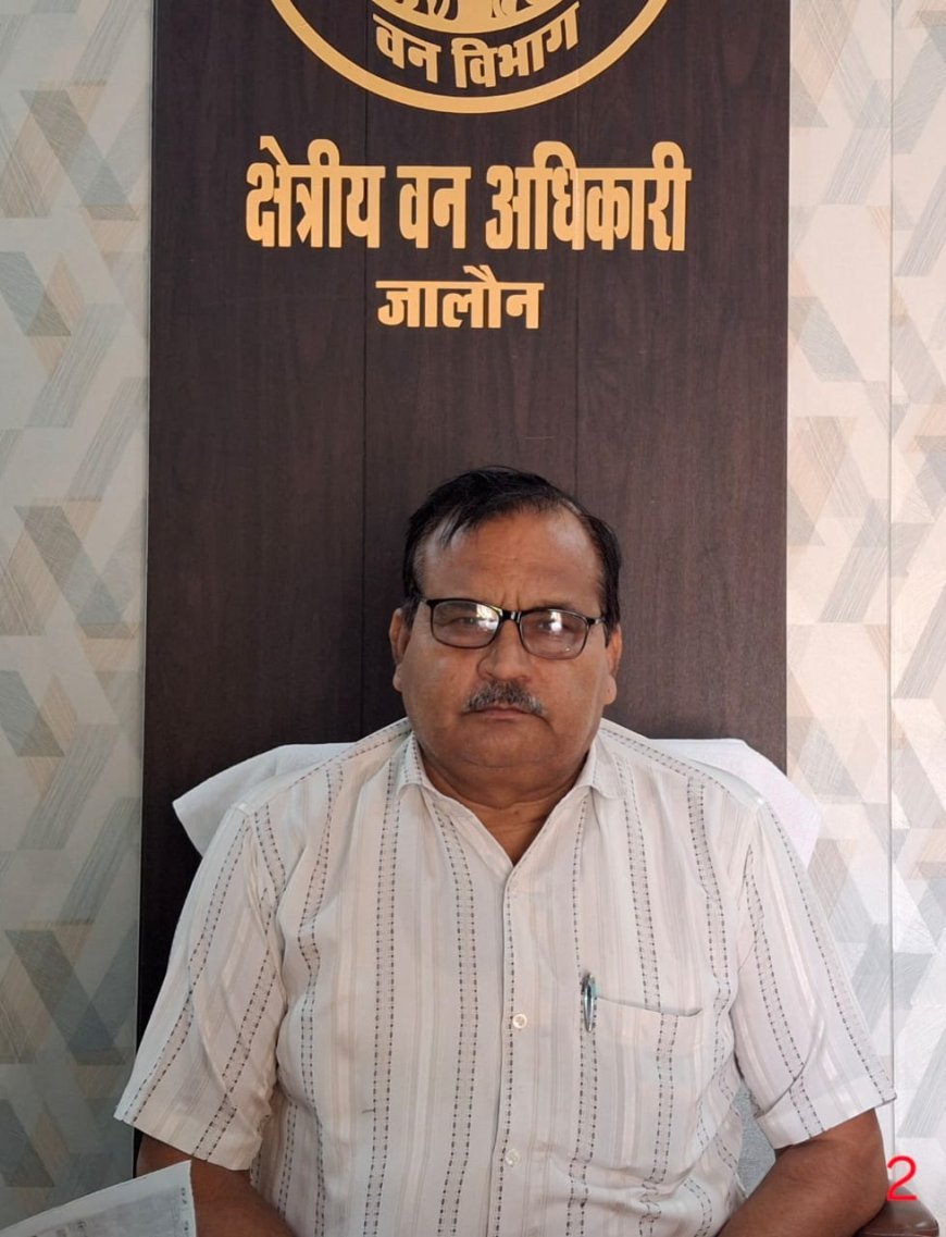 पर्यावरण बचाने की अनोखी पहल : जालौन में लगेंगे 3.80 लाख पौधे